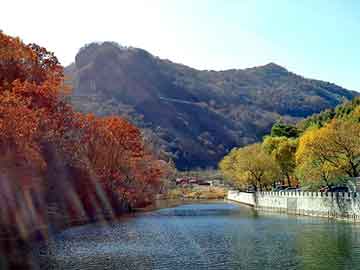 新澳门二四六天天彩，杨钧钧年轻照